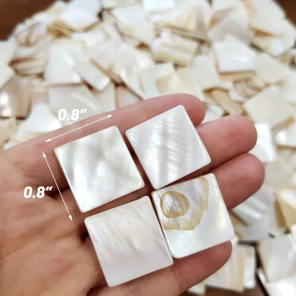 100g Kare Çin Tatlı Su Kabuğu  - Interior Design Of House incelemesi ve fiyatı