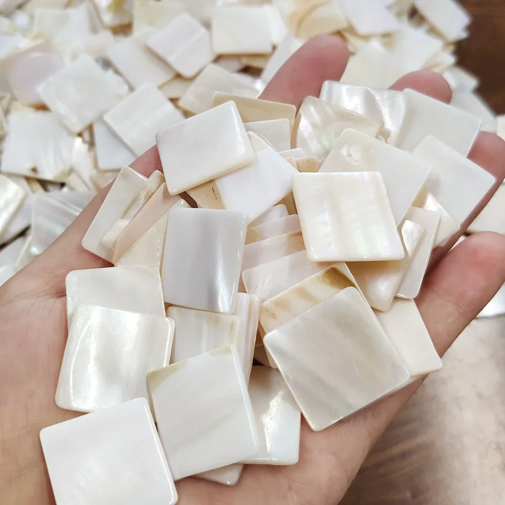 100g Kare Çin Tatlı Su Kabuğu  - Interior Design Of House incelemesi ve fiyatı