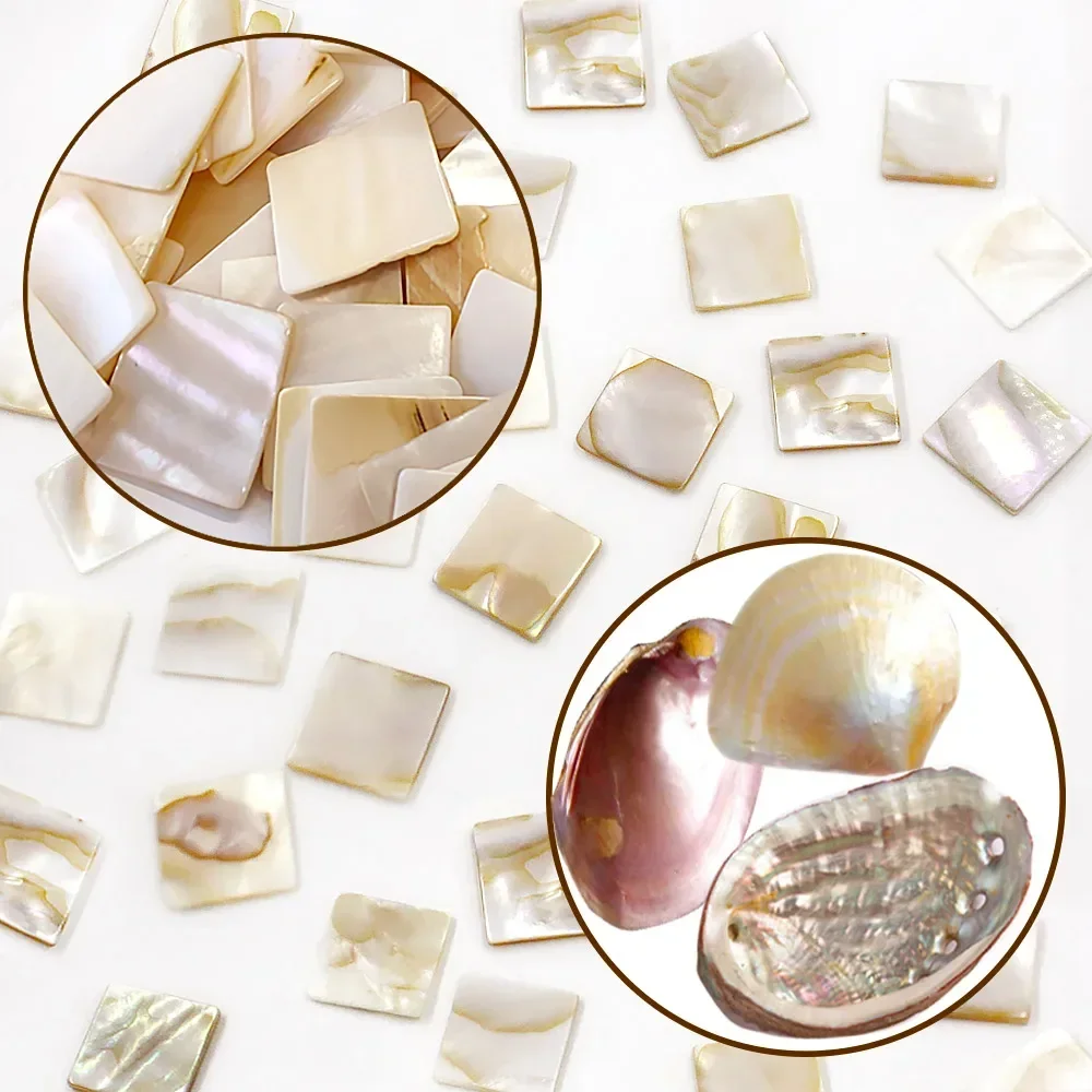 100g Kare Çin Tatlı Su Kabuğu  - Interior Design Of House incelemesi ve fiyatı